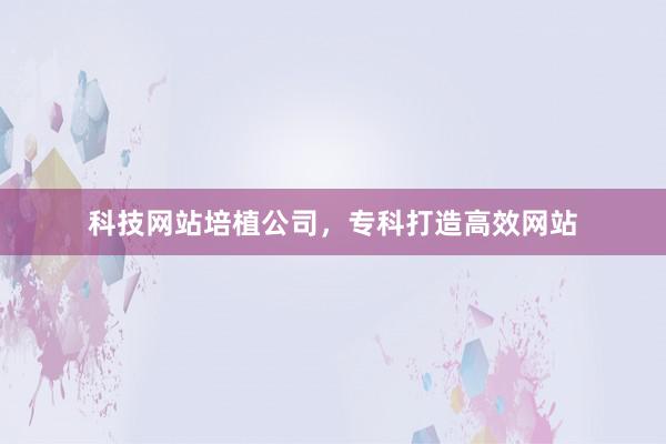 科技网站培植公司，专科打造高效网站