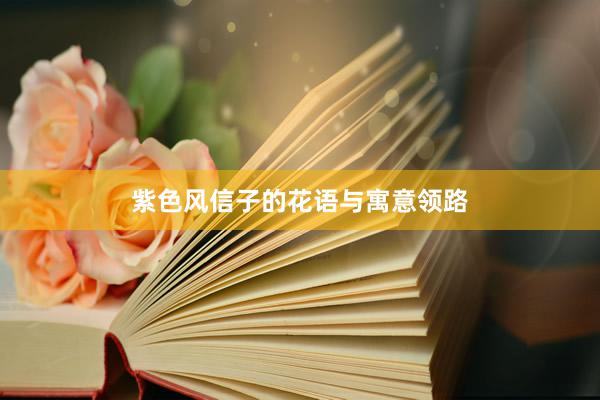 紫色风信子的花语与寓意领路